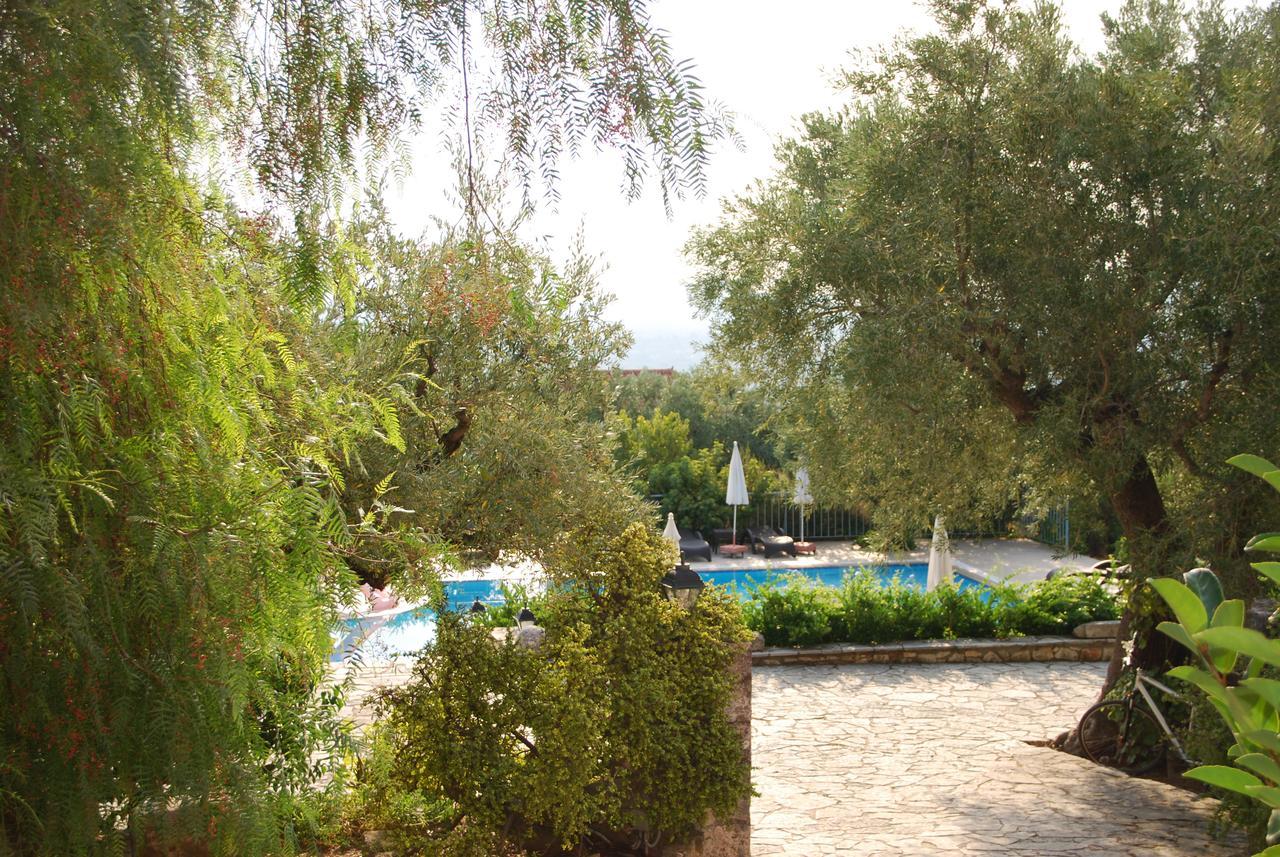 Anatoli Labreon Hotel Ajía Marína Kültér fotó